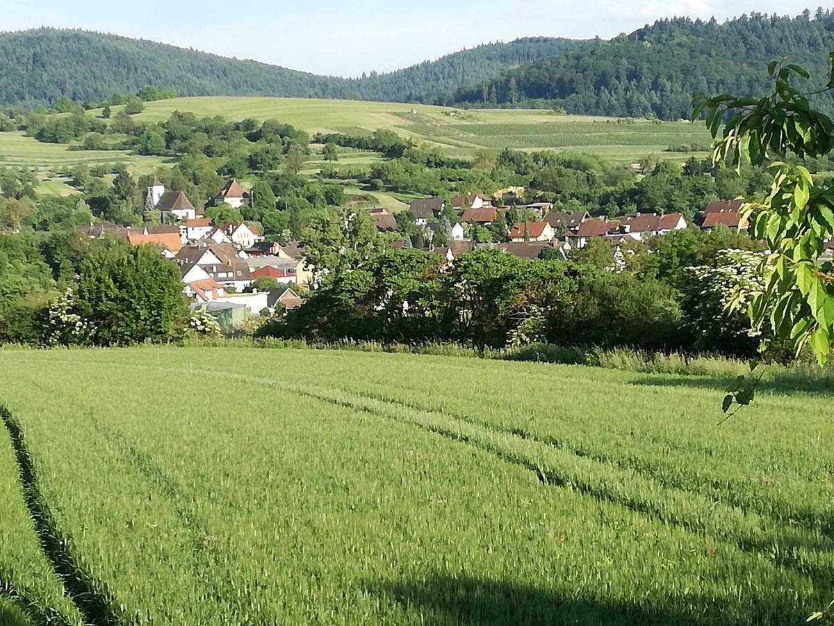 Galerie Ueber Den Gaerten Herbolzheim Bagian luar foto