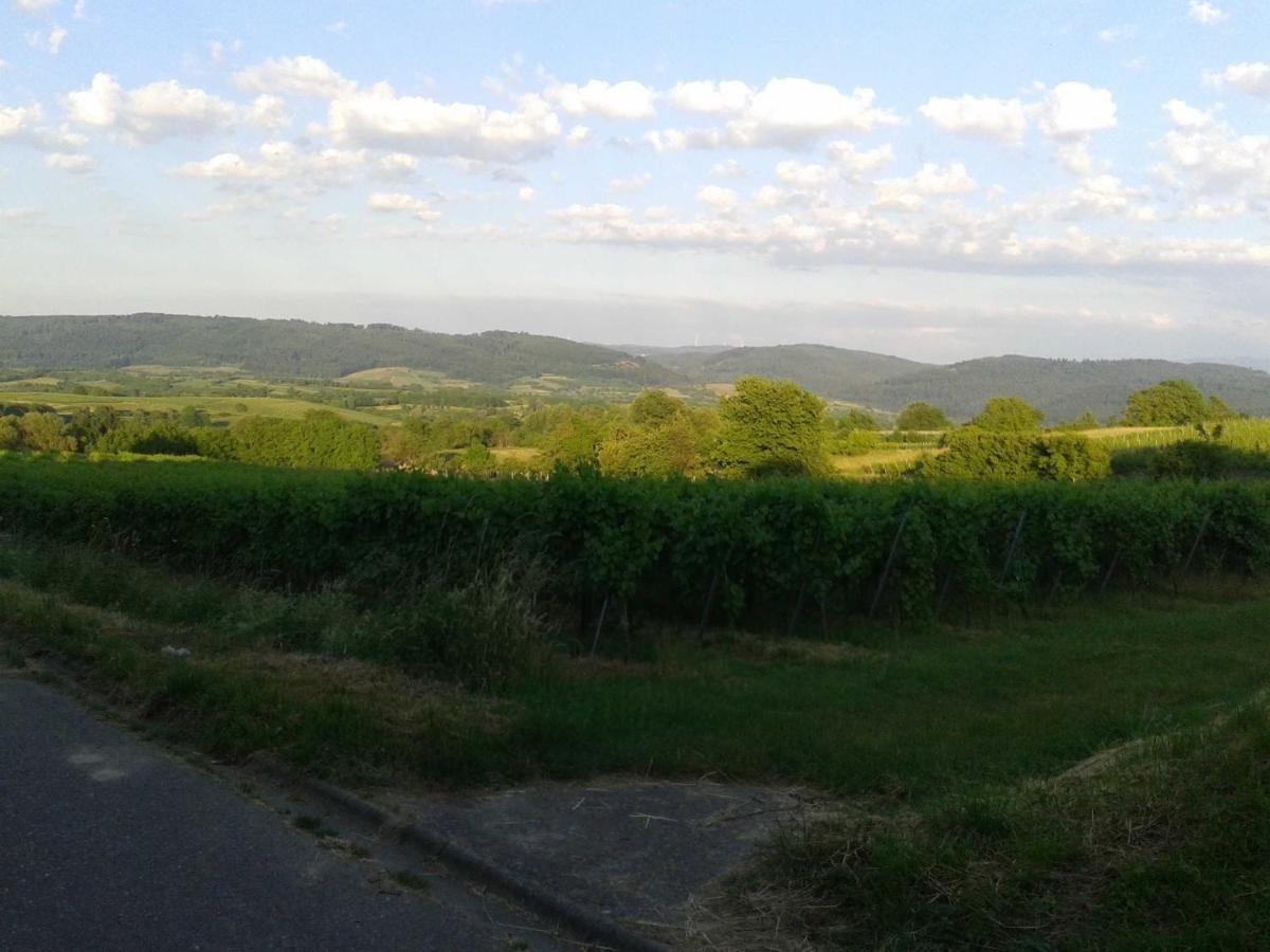 Galerie Ueber Den Gaerten Herbolzheim Bagian luar foto