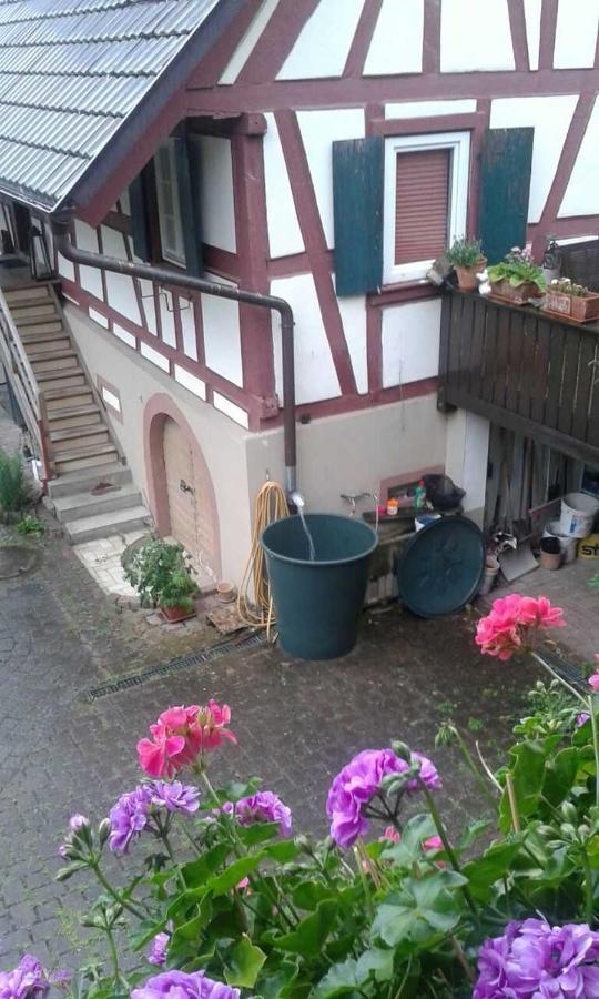 Galerie Ueber Den Gaerten Herbolzheim Bagian luar foto