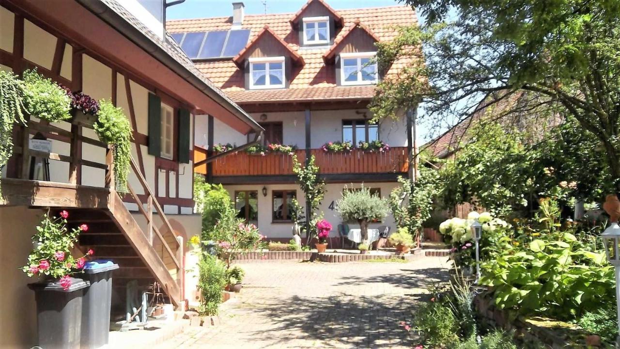 Galerie Ueber Den Gaerten Herbolzheim Bagian luar foto