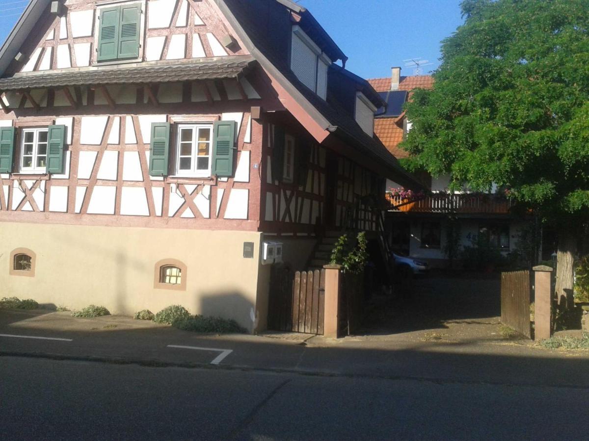 Galerie Ueber Den Gaerten Herbolzheim Bagian luar foto